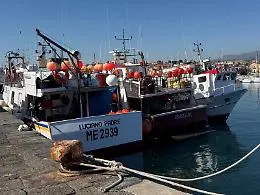 &laquo;La pesca sta affondando nel caro gasolio&raquo;