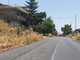 Verde pubblico fuori controllo