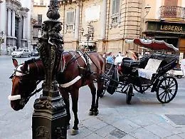 Sulle carrozze a cavalli a Palermo il Suap frena e il Consiglio protesta