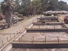 Depuratore di Sant&rsquo;Anna: il Consorzio diffida la Sie