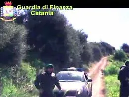 Il podere mafioso fra Giarre e Patern&ograve;: due condanne e diciassette prescritti
