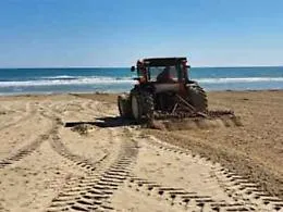 Stop alle ruspe sulle spiagge: &laquo;Rischio per dune e specie protette&raquo;