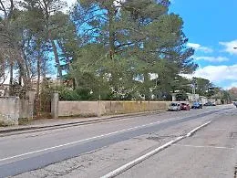 Parco Dubini in ripresa: sicurezza, partecipazione e riapertura condivisa