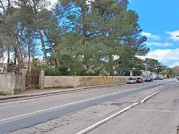Parco Dubini: ramo caduto riapre il dibattito sulla sicurezza e fa svanire le speranze di una riapertura