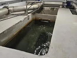 Caltanissetta senz'acqua: sospesa la distribuzione, Gambino accusa Siciliacque