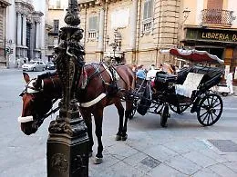 Benessere da cavalli, a Palermo approvato il regolamento: sei mesi per convertire gli &ldquo;gnuri&rdquo; all&rsquo;elettrico