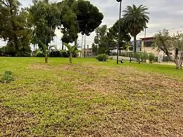 Agor&agrave; dello Stretto, 350mila euro per il restyling del verde: bando in arrivo