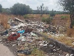 Chilometri di incivilt&agrave; sulle strade provinciali