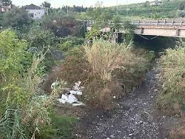 Torrente Jungo a rischio, gli alberi abbattuti scatenano la protesta