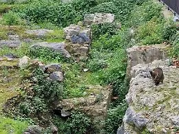 Accordo tra Comune di Catania e la Soprintendenza per i reperti archeologici alla Civita 
