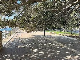 La passeggiata a mare nel degrado, ma gli alberi &laquo;non si possono potare&raquo;
