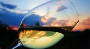 Nella top ten dei vini di Bibenda c'&egrave; anche un siciliano