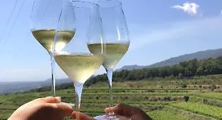 Le Sagre del weekend in Sicilia: vini, degustazioni e showcooking, pesce, ricotta e pomeriggi giovani. Ecco cosa c'&egrave; da fare nel fine settimana