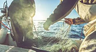 Pesca siciliana in crisi, spiragli dall'Europa. Il commissario in Sicilia: &laquo;Riforma entro l&rsquo;anno&raquo;