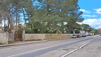 Parco Dubini in ripresa: sicurezza, partecipazione e riapertura condivisa