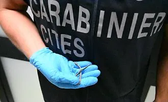 Serpente trovato nella cappelliera del volo da Lampedusa a Palermo: le indagini dei Carabinieri