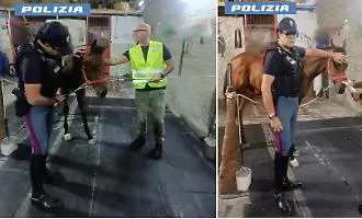 Corse clandestine a Palagonia: la Polizia scova a San Cristoforo anche il secondo cavallo 