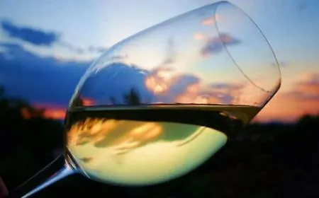 Nella top ten dei vini di Bibenda c'&egrave; anche un siciliano