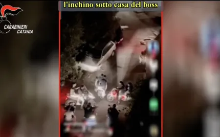 Dalla bandiera di Cuba all'inchino al "capo dei pusher": oltre due secoli di carcere per gli imputati dell'operazione "Cubisia Connection"