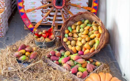 La Sagra del ficodindia di San Cono festeggia 40 anni: food, concerti, una sfida tra chef con giuria presieduta da Ciccio Sultano