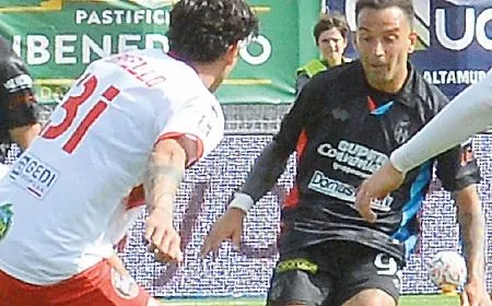 Insigne (Catania)