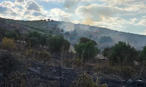 Rogo devastante tra Cattolica Eraclea e Montallegro: piromane brucia ettari di colture, minacciate le case
