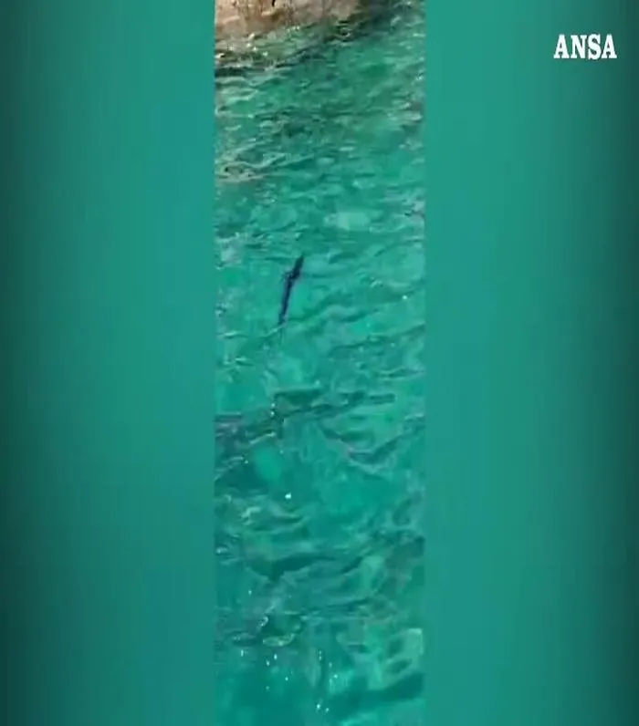 3538749-i20200426171810164mp4_1620396996692