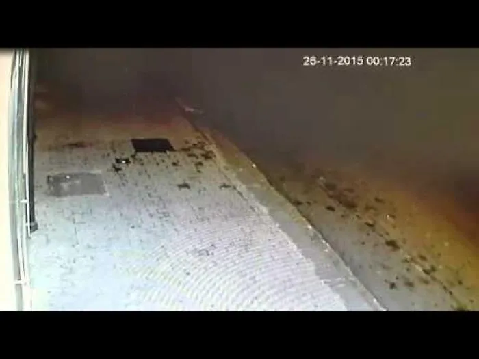 s_nTC3Y9WCE_1620406424512