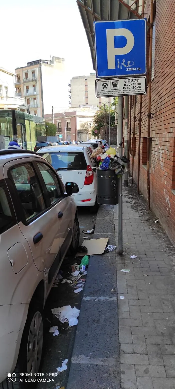 1615827331789_1620642563260