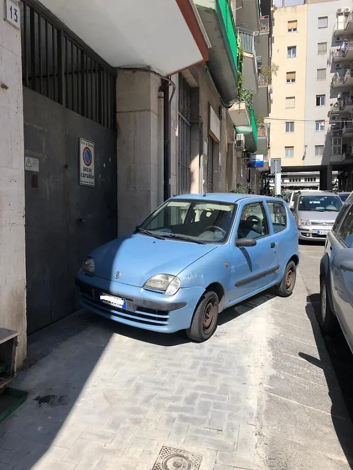 1616177026160_1620642816912