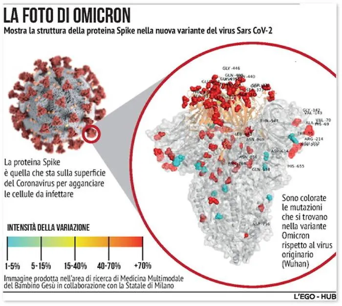 153531953-e3faef92-d7c3-467b-a106-04d3a0f4bc56