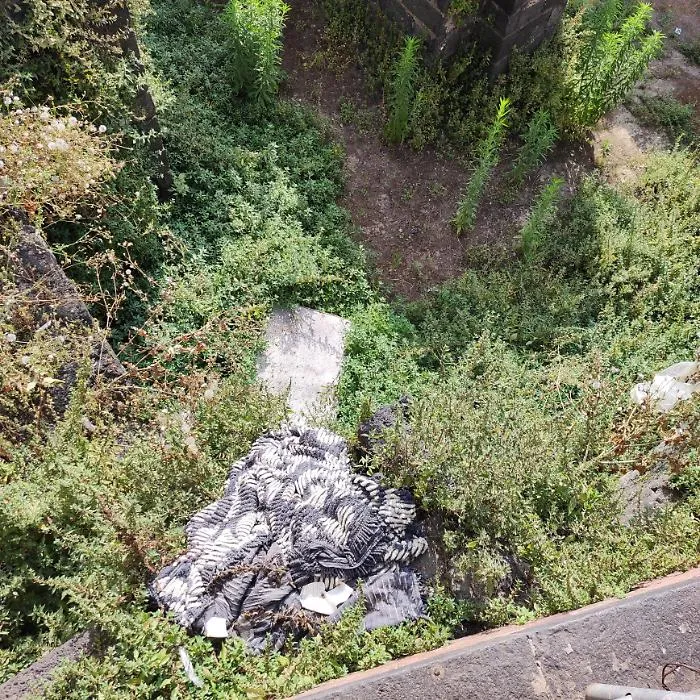 Anfiteatro-romano-erbacce-spazzatura-materassi-abbandono-totale.-Piu-che-Catania-vecchia-direi-Catania-pessa.-Piazza-Stesicoro3