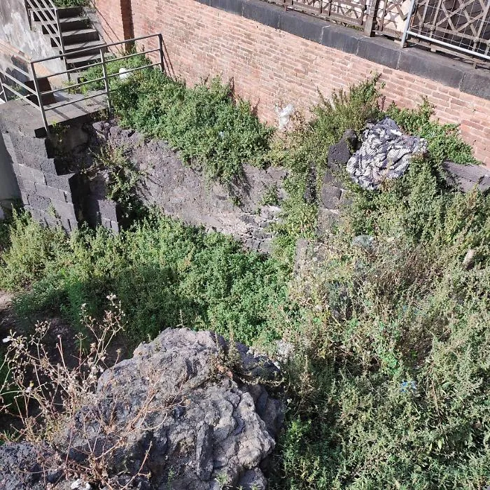 Anfiteatro-romano-erbacce-spazzatura-materassi-abbandono-totale.-Piu-che-Catania-vecchia-direi-Catania-pessa.-Piazza-Stesicoro4