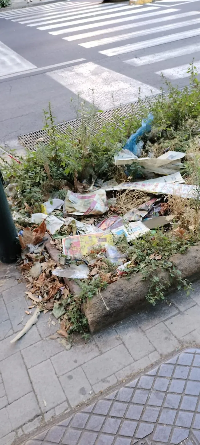 Aiuole-fiorite-al-Viale-vittorio-Veneto