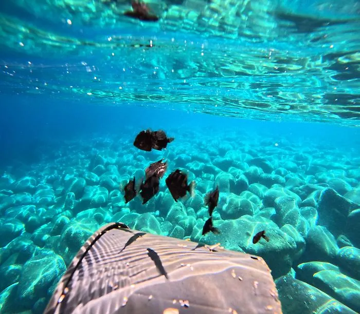 DCIM100GOPROGOPR8946.JPG
