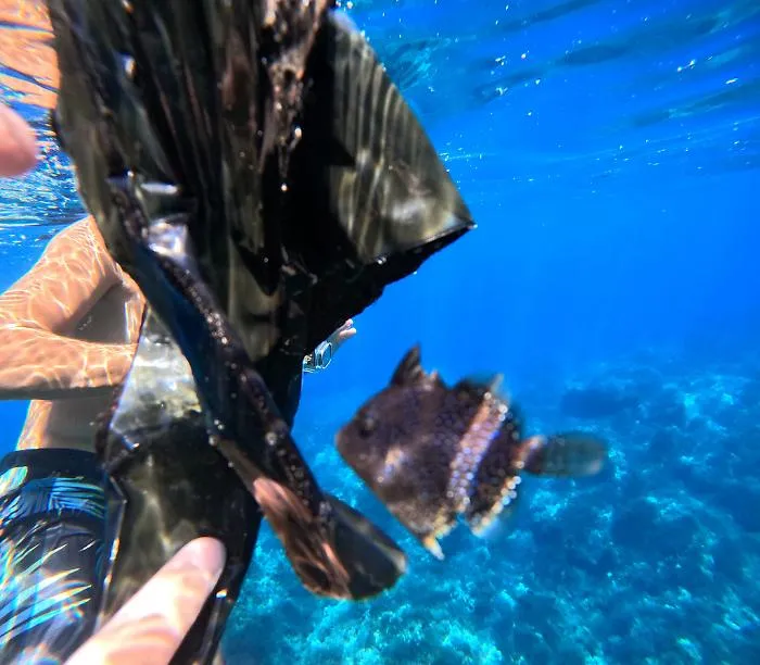 DCIM100GOPROGOPR8920.JPG