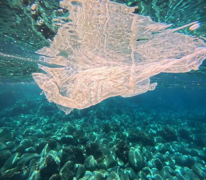DCIM100GOPROGOPR8918.JPG