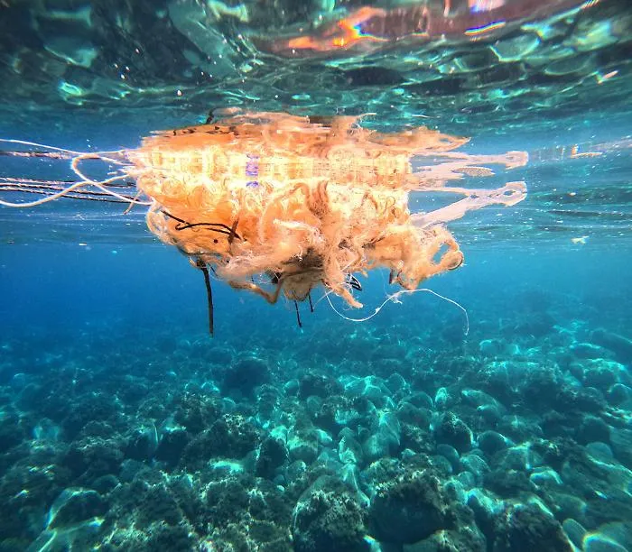 DCIM100GOPROGOPR8917.JPG