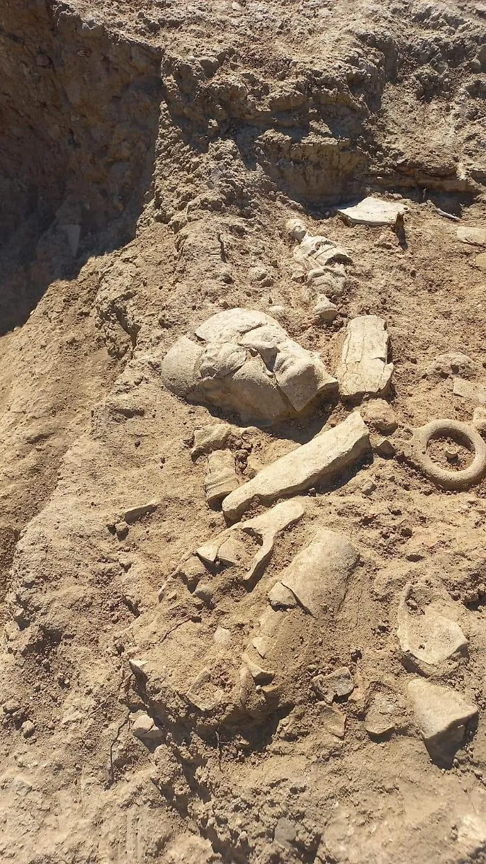 Reperti-Valle-dei-Templi-5
