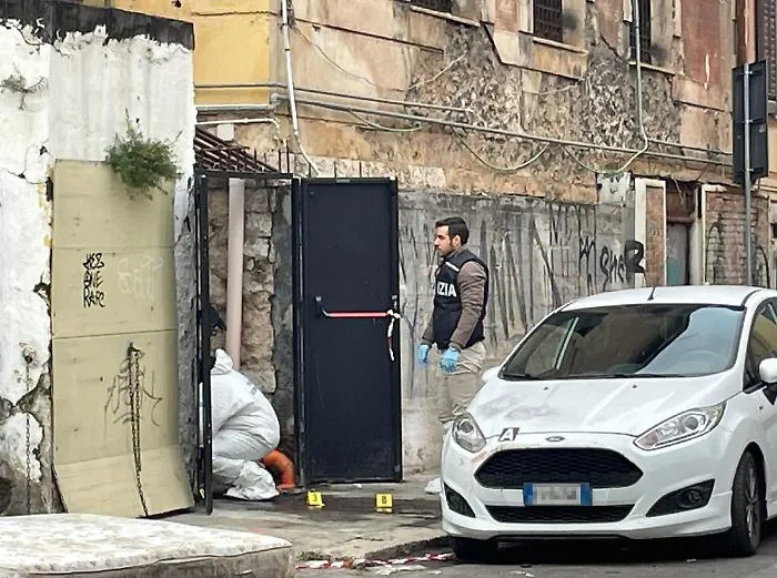 palermo9
