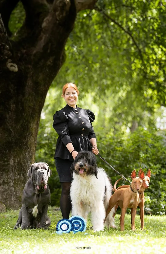 tutti-cani