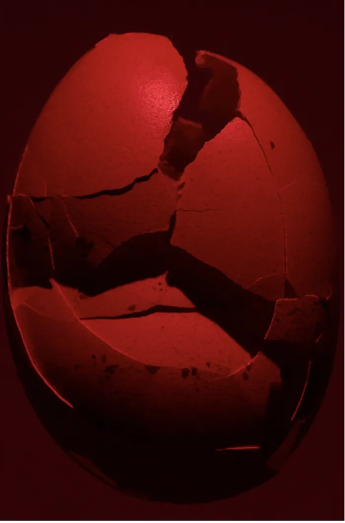 20_  &copy; &Mu;etamorfosi, 2025, da Metamorfosi