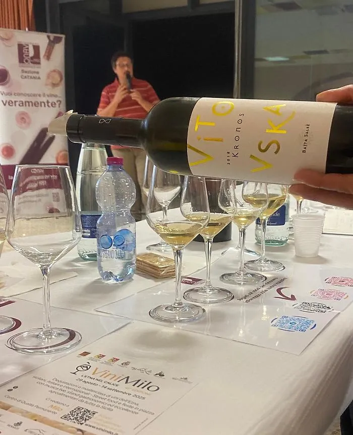 VM25_degustazione vini del Carso, 14.09.25