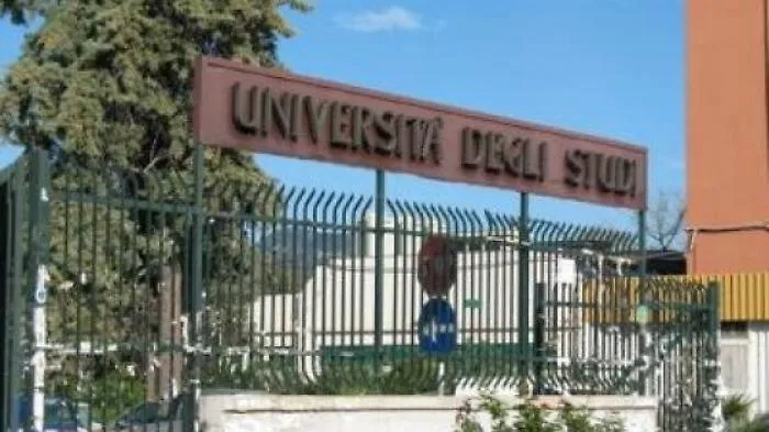 Dodici nuovi corsi di laurea all'Universit&agrave; di Palermo