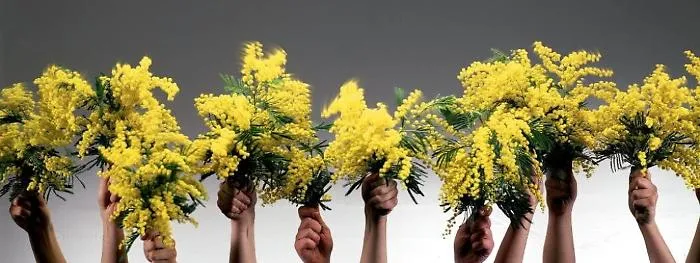 Festa della Donna: iniziativa del sindacato dei fiorai della provincia agrigentina