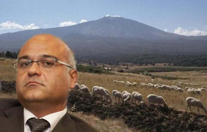 La mafia dei pascoli oltre il protocollo Antoci: la sfida ai boss &laquo;raffinati&raquo;