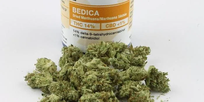 Cannabis terapeutica, la Regione siciliana dispenser&agrave; gratis il farmaco