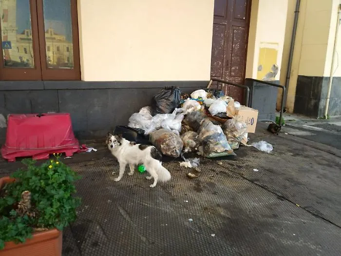 Catania: cumuli di rifiuti al porto, per i turisti... !