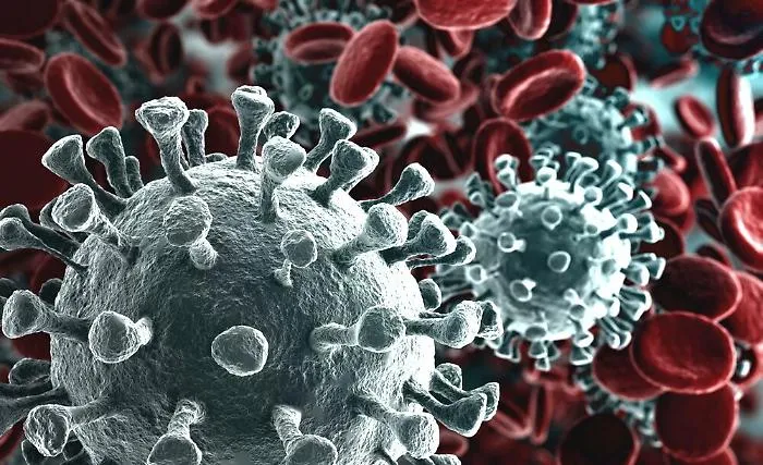 Coronavirus, forse individuato il "paziente zero" che ha portato in Veneto il virus