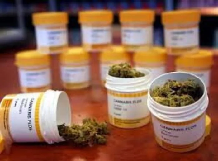 Aumenta la richiesta di cannabis terapeutica, il M5s: &laquo;Produrla in Sicilia&raquo;